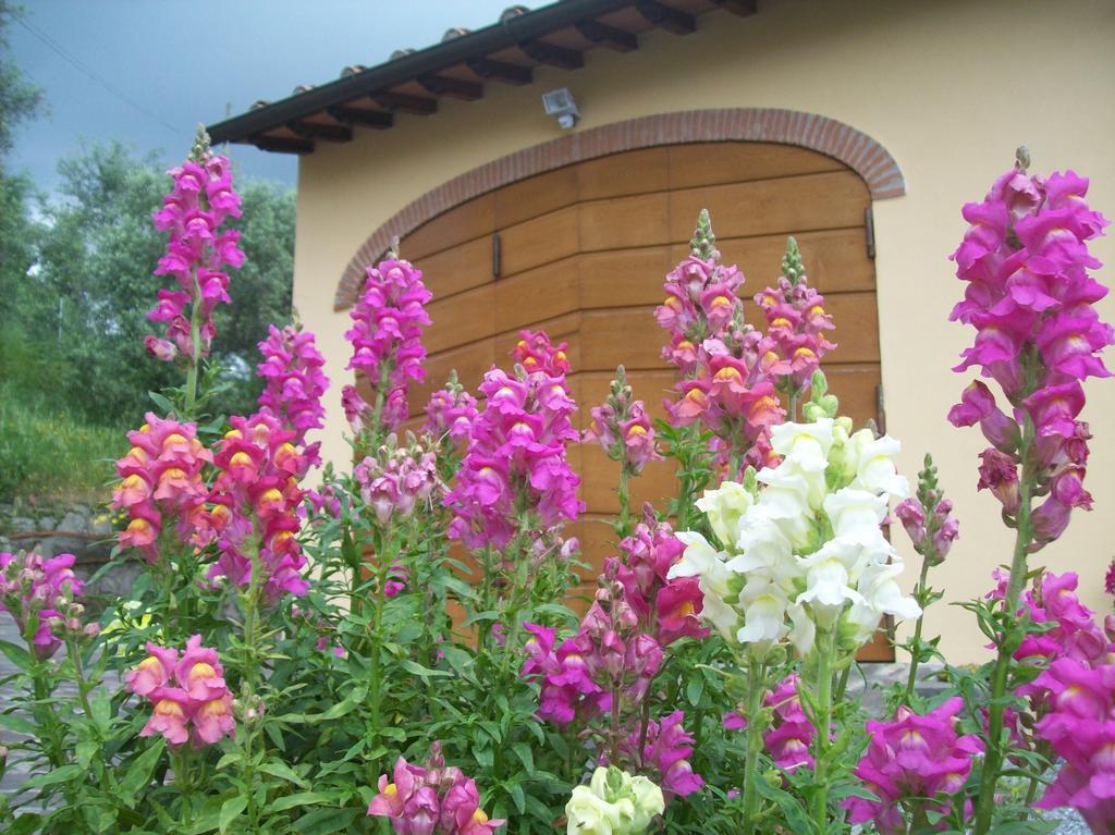 La Casa Dei Limoni Apartment Matraia ภายนอก รูปภาพ