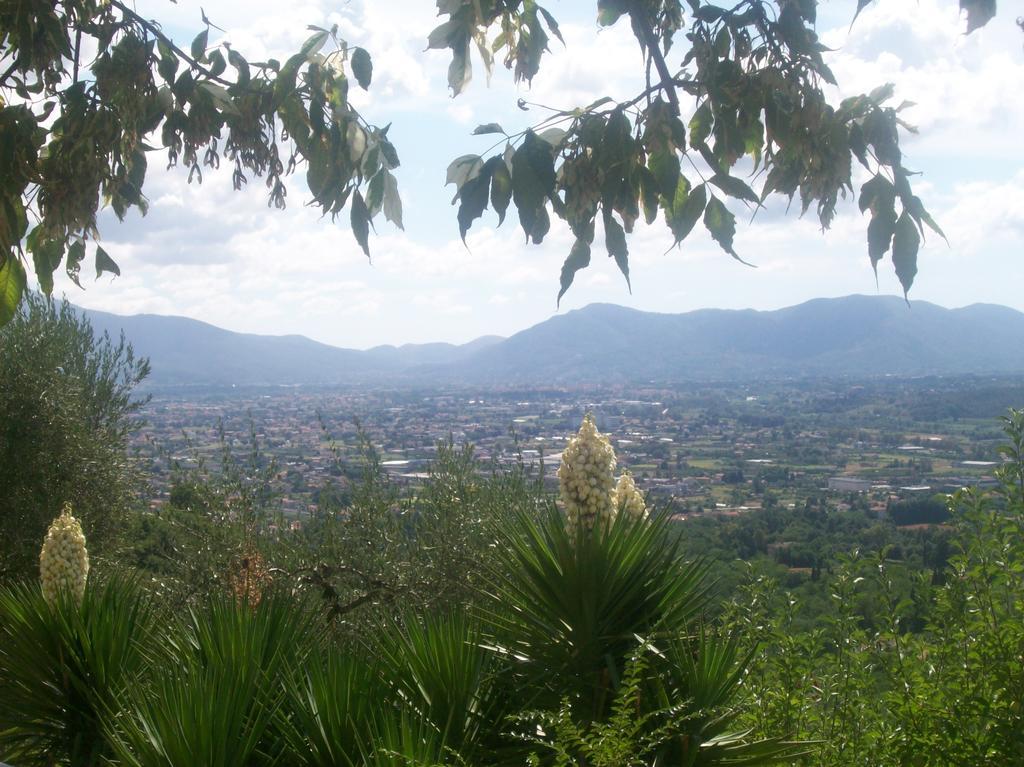 La Casa Dei Limoni Apartment Matraia ภายนอก รูปภาพ