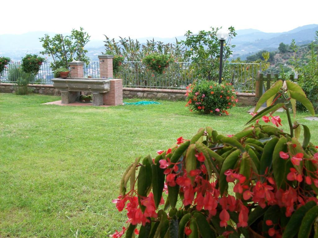 La Casa Dei Limoni Apartment Matraia ภายนอก รูปภาพ