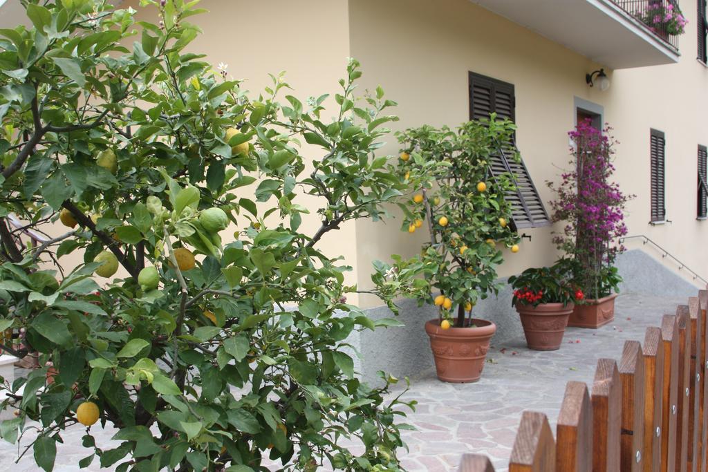 La Casa Dei Limoni Apartment Matraia ภายนอก รูปภาพ